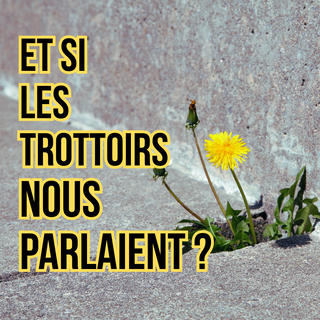 Et si les trottoirs nous parlaient